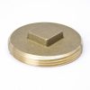 Valves, Fittings & Connectors B&K Metal | Brass 3-In Npt Raised Square Head Plug