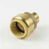 Valves, Fittings & Connectors ProLine Series Brass Push Fit | 1-In Pf X 3/4-In Mip Brass Push Fit Male Adapter