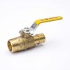 Valves, Fittings & Connectors ProLine Series Ball Valves | Brass 3/4-In Mip X 3/4-In Pex Ball Valve - Lead-Free