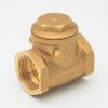 Valves, Fittings & Connectors ProLine Series Plumbing Valves | Brass 2-1/2-In Fip X 2-1/2-In Fip Swing Check Valve - Lead-Free