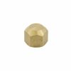 Valves, Fittings & Connectors ProLine Series Flare Fittings | Brass 1/2-In Fl Cap