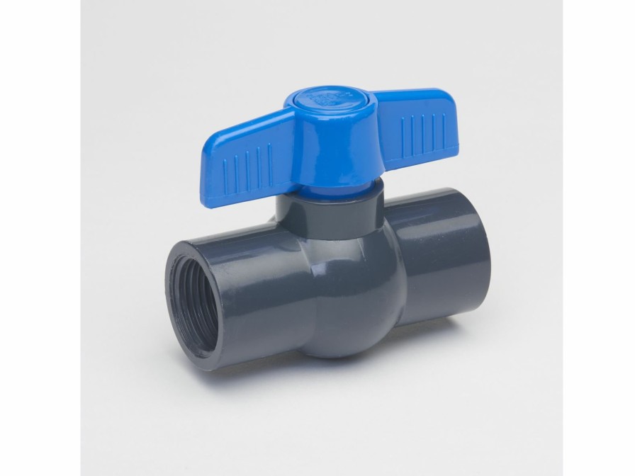 Valves, Fittings & Connectors ProLine Series Ball Valves | Pvc 1-In Fip X 1-In Fip Ball Valve Non-Potable Gray