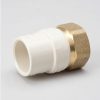 Valves, Fittings & Connectors B&K Transition | Cpvc 3/4-In Solv X 3/4-In Fip Brass Transition Adapter