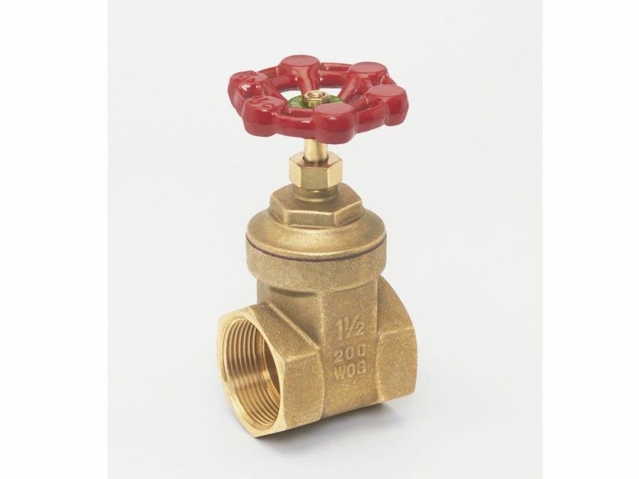 Valves, Fittings & Connectors ProLine Series Plumbing Valves | Brass 2-In Fip X 2-In Fip Heavy Duty Gate Valve