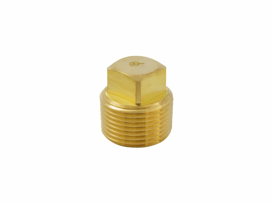 Valves, Fittings & Connectors ProLine Series Brass Fittings & Nipples | Brass 3/4-In Mip Plug