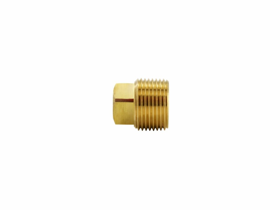 Valves, Fittings & Connectors ProLine Series Brass Fittings & Nipples | Brass 3/4-In Mip Plug