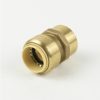 Valves, Fittings & Connectors ProLine Series Brass Push Fit | 1-In Pf X Fip Brass Push Fit Female Adapter