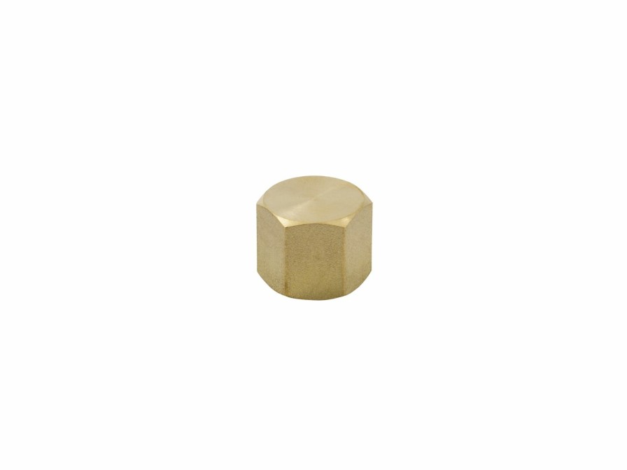 Valves, Fittings & Connectors ProLine Series Brass Fittings & Nipples | Brass 1/4-In Fip Cap