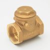 Valves, Fittings & Connectors ProLine Series Plumbing Valves | Brass 1-1/4-In Fip X 1-1/4-In Fip Swing Check Valve - Lead-Free