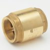 Valves, Fittings & Connectors ProLine Series Plumbing Valves | Brass 2-In Fip X 2-In Fip In-Line Check Valve - Lead-Free