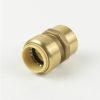 Valves, Fittings & Connectors ProLine Series Brass Push Fit | 1/2-In Pf X Fip Brass Push Fit Female Adapter