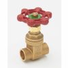 Valves, Fittings & Connectors ProLine Series Plumbing Valves | Brass 3/4-In Fip X 3/4-In Fip Heavy Duty Gate Valve - Lead-Free