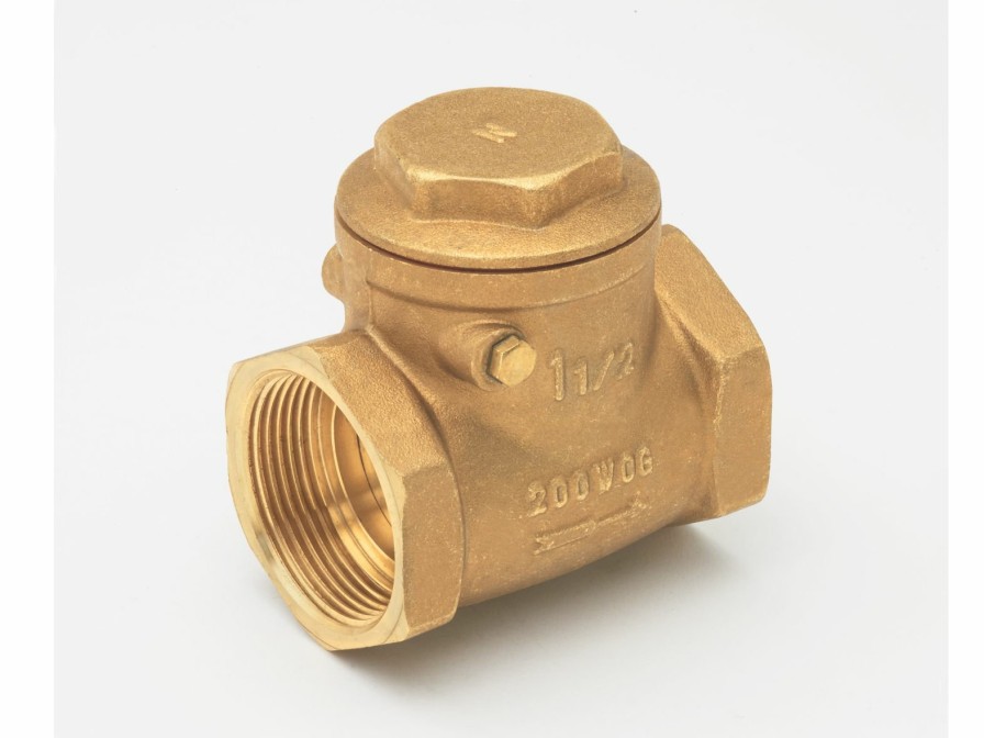 Valves, Fittings & Connectors ProLine Series Plumbing Valves | Brass 2-In Fip X 2-In Fip Swing Check Valve - Lead-Free