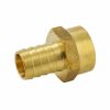 Valves, Fittings & Connectors ProLine Series Brass Barbed Fittings | Brass 3/4-In Barb X 3/4-In Fip Female Adapter