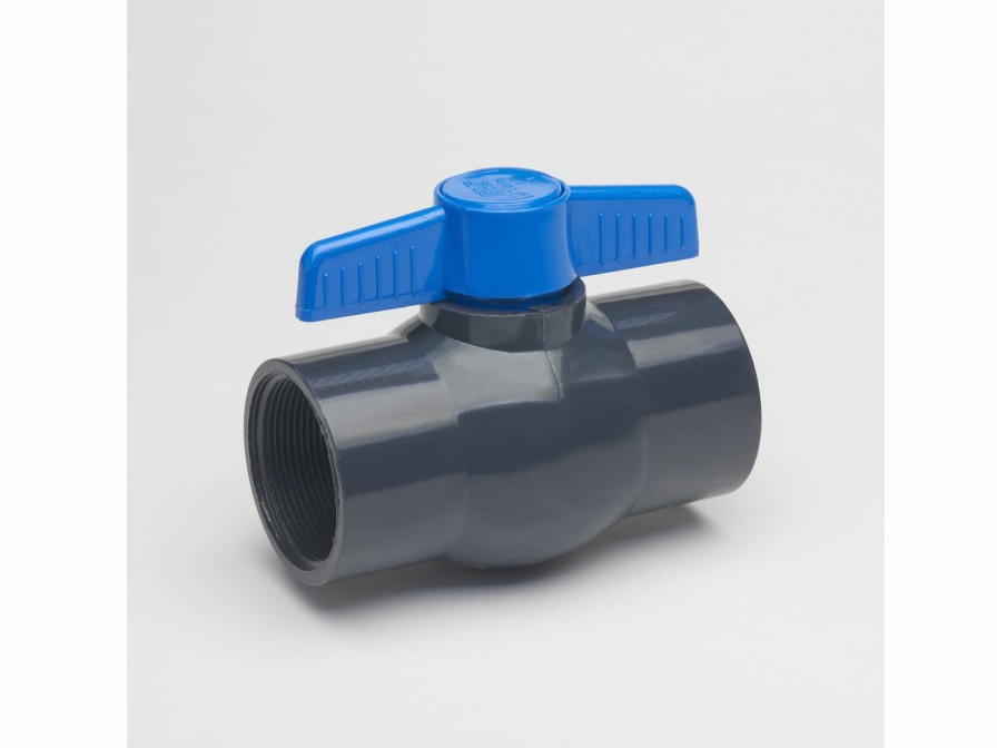 Valves, Fittings & Connectors ProLine Series Ball Valves | Pvc 2-In Fip X 2-In Fip Ball Valve Non-Potable Gray