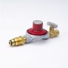 Valves, Fittings & Connectors ProLine Series Gas Valves | L.P. Gas Regulator