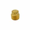 Valves, Fittings & Connectors ProLine Series Brass Fittings & Nipples | Brass 1/2-In Mip Plug