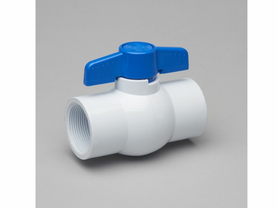 Valves, Fittings & Connectors ProLine Series Ball Valves | Pvc 2-In Fip X 2-In Fip Ball Valve Non-Potable