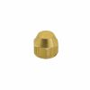 Valves, Fittings & Connectors ProLine Series Flare Fittings | Brass 3/8-In Fl Cap